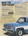 1979 Chevrolet Pickups-02
